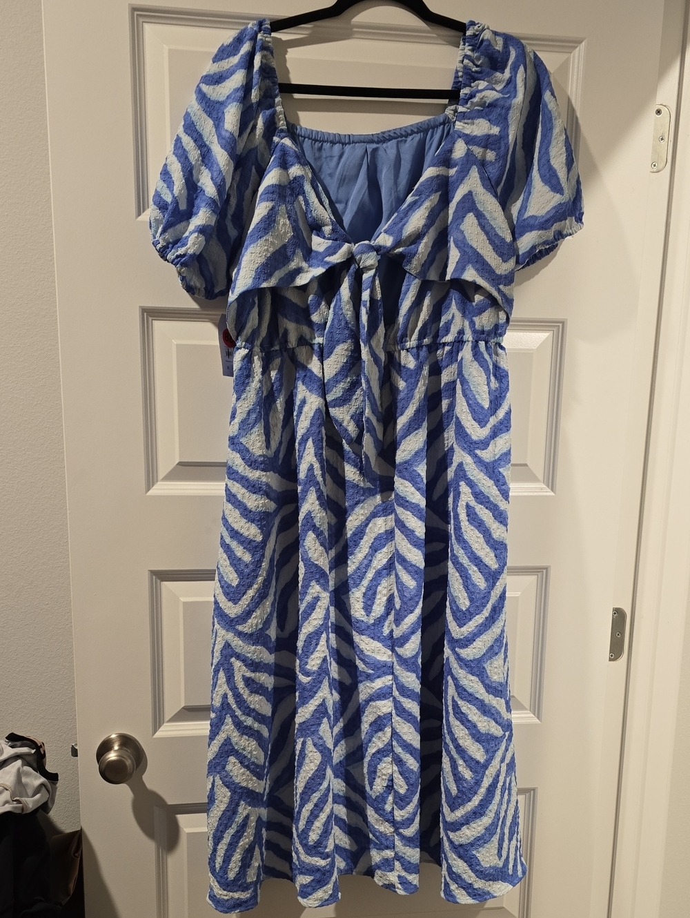 Blue Zebra-Print Women Dress